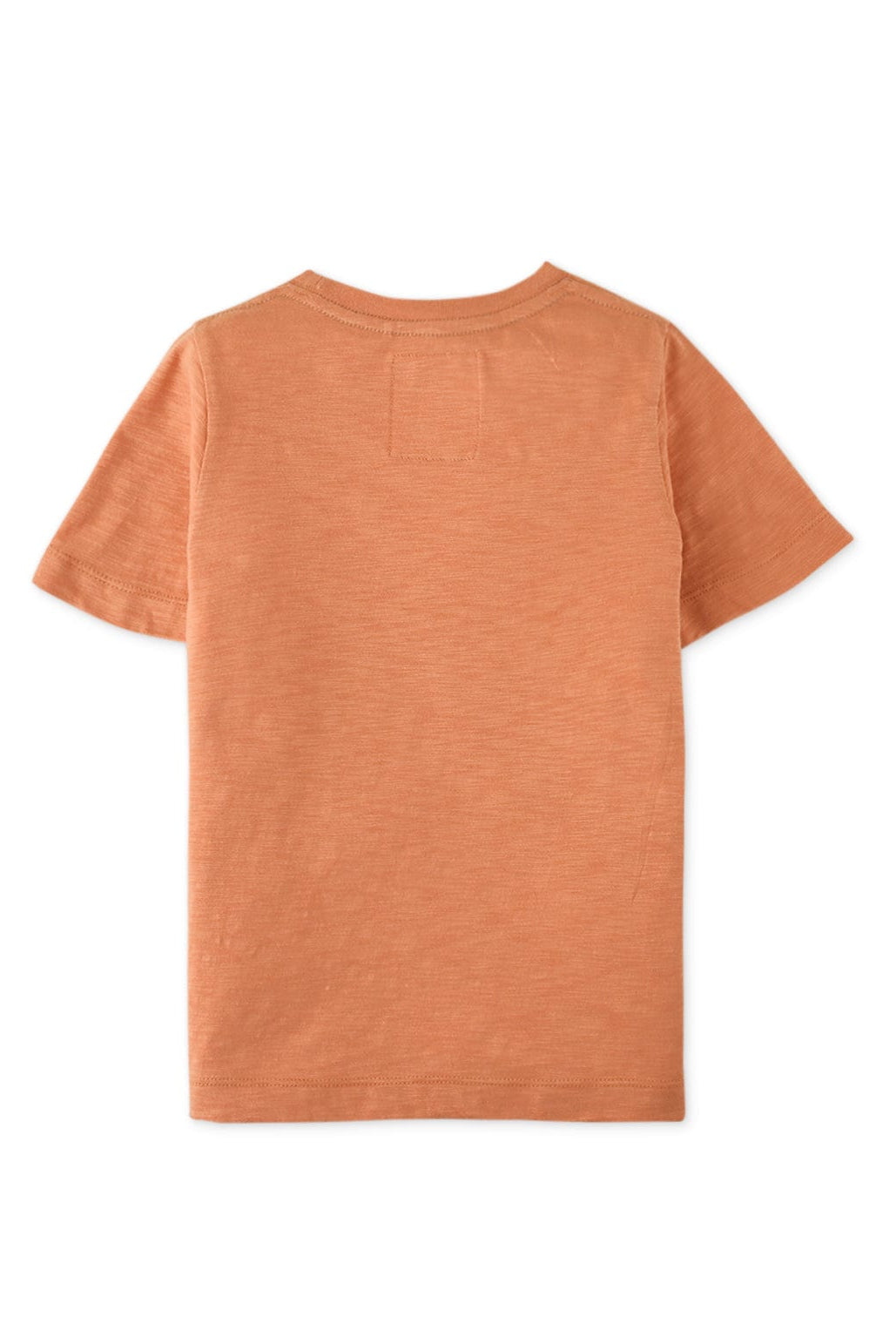 جينجرسنابس تيشيرت ولادي بطبعة أمامية نص كم