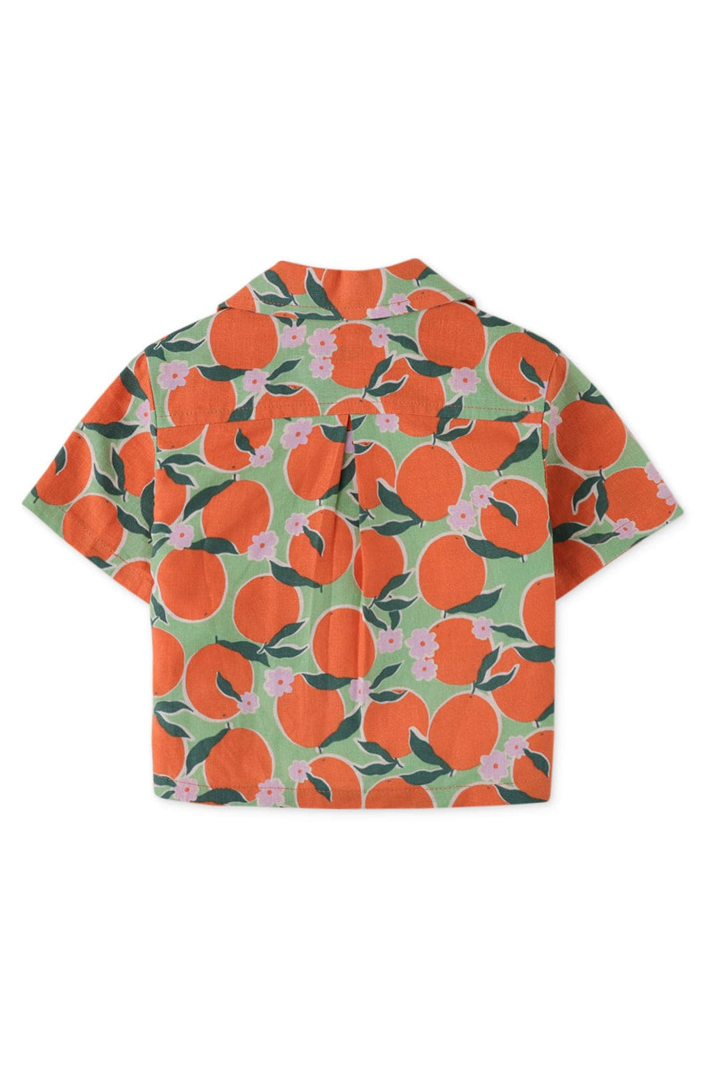 جينجرسنابس قميص نص كم بولو بيبي ولاد بنقشة فاكهة