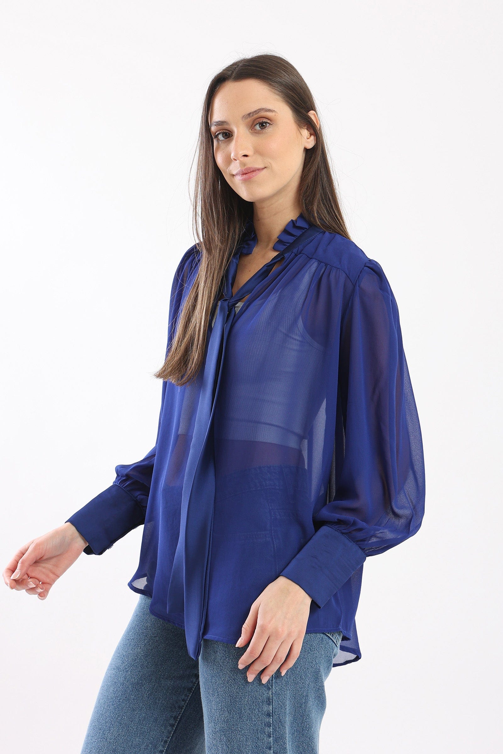 كارينا بلوزة سادة شفافة بربطة عنق كم طويل