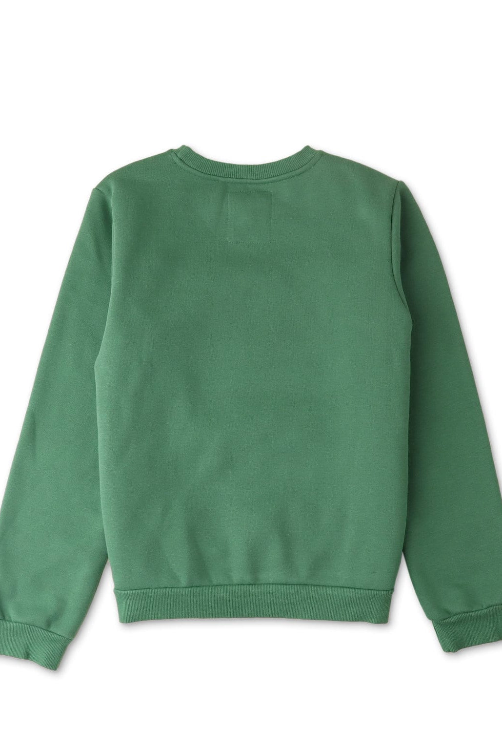 جينجرسنابس سويتشيرت ولادي بطبعة قط أخضر