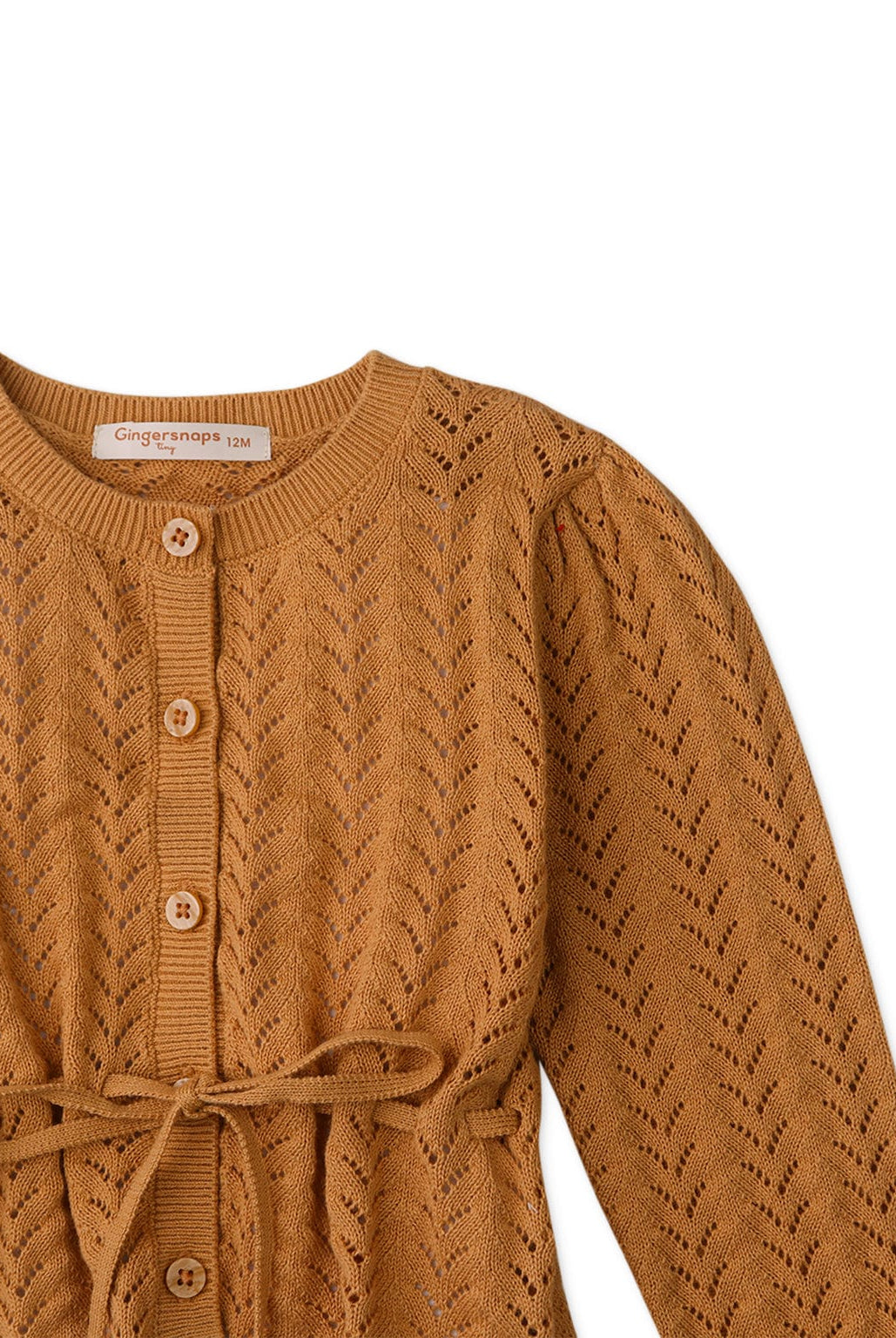 جينجرسنابس كارديجان بناتي رضع قصير بكم طويل بني