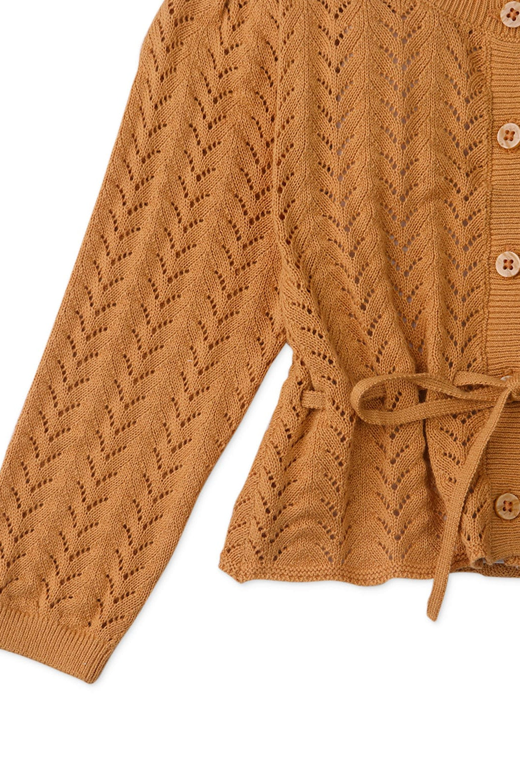 جينجرسنابس كارديجان بناتي رضع قصير بكم طويل بني