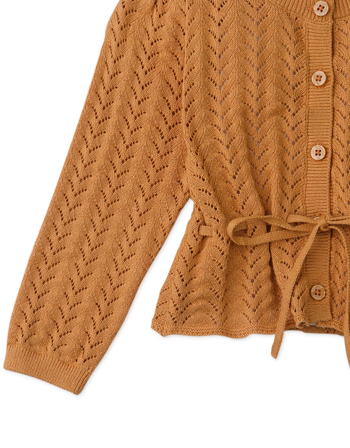 جينجرسنابس كارديجان بناتي رضع قصير بكم طويل بني