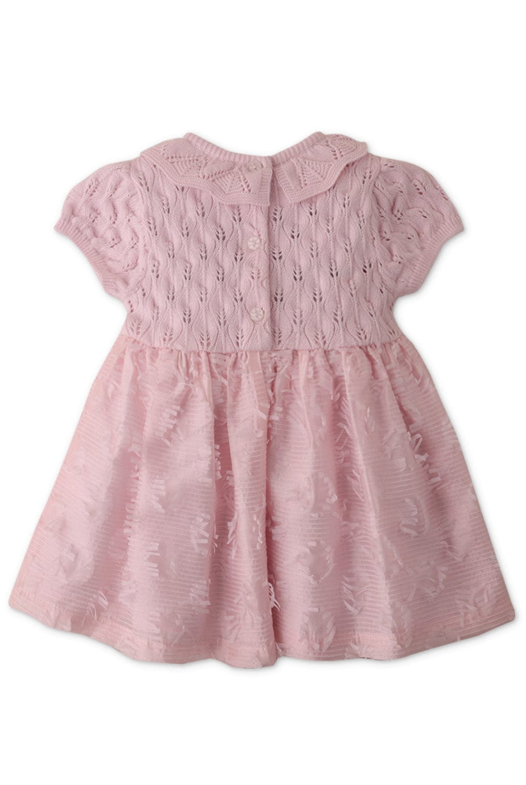 جينجرسنابس فستان رضع ربع كم وياقة بناتى