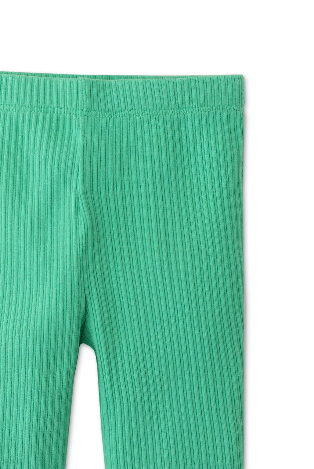 جينجرسنابس ليقنز لون واحد بناتي رضع أخضر