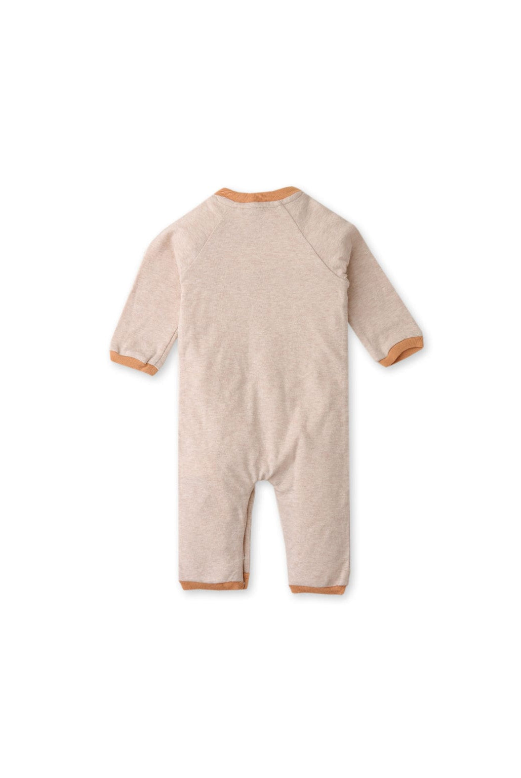 جينجرسنابس جمبسوت اولادي رضع برسمة قط بيج