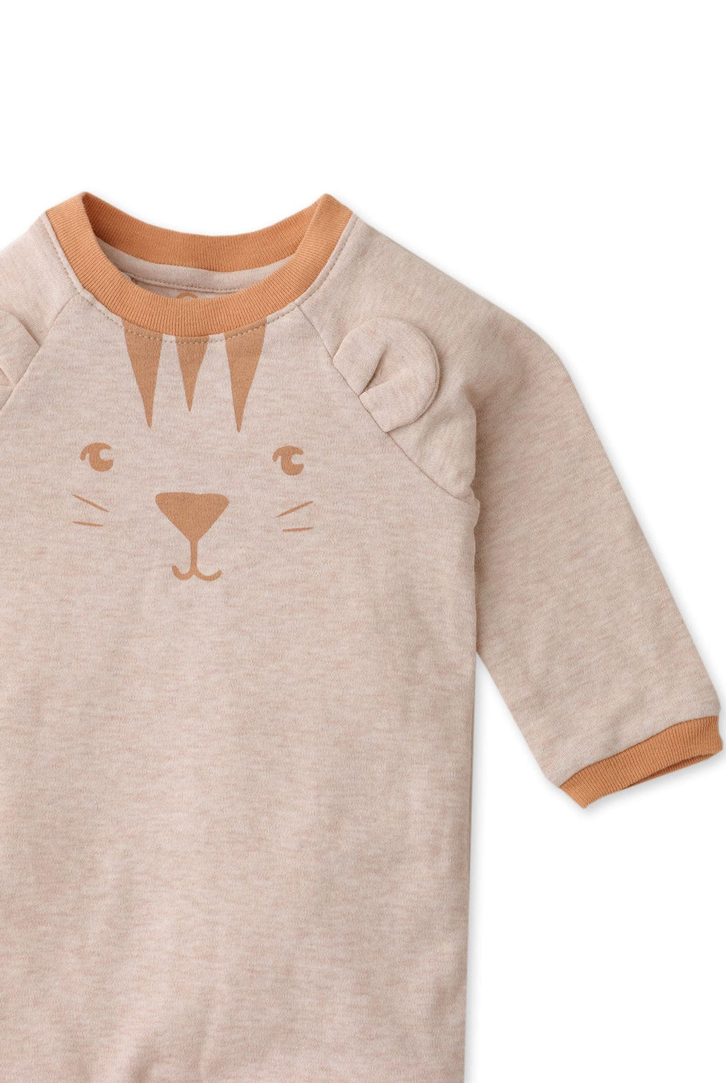 جينجرسنابس جمبسوت اولادي رضع برسمة قط بيج