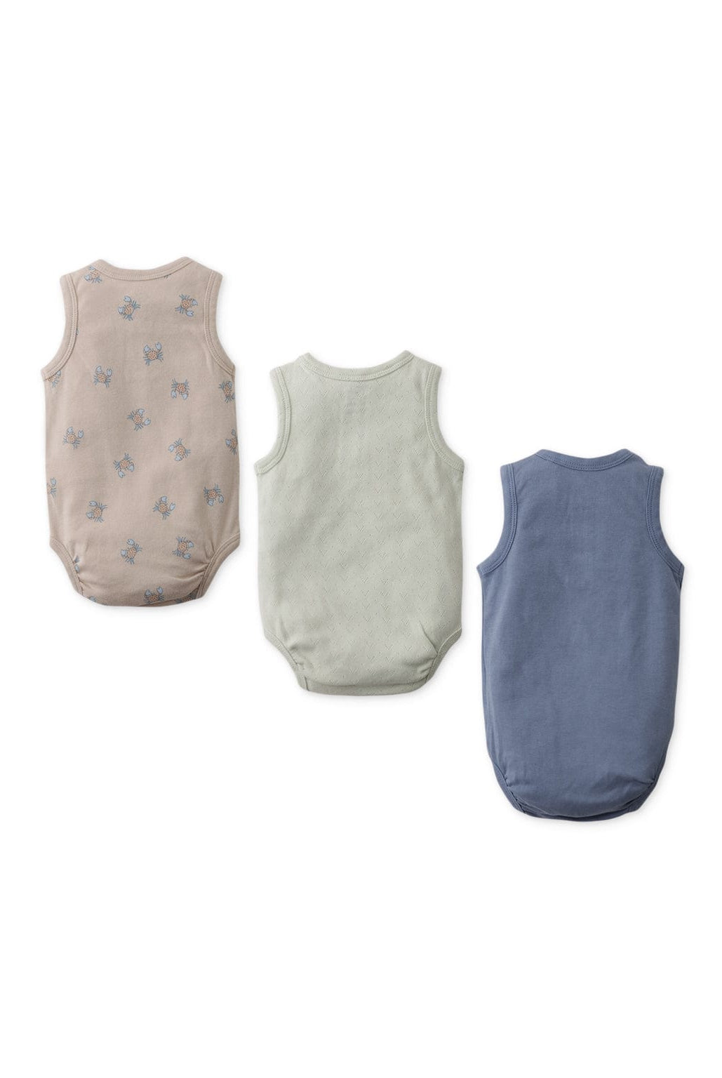 جينجرسنابس سالوبيت ولادي رضع رسمة سلطعون متعدد الألوان