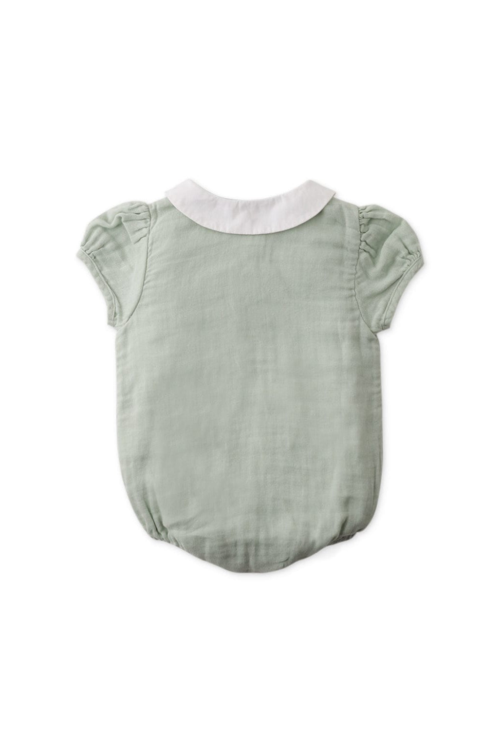 جينجرسنابس سالوبيت بناتي رضع نص كم أخضر