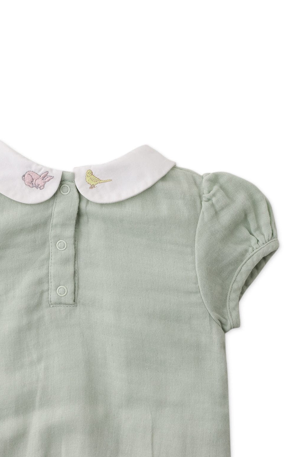 جينجرسنابس سالوبيت بناتي رضع نص كم أخضر