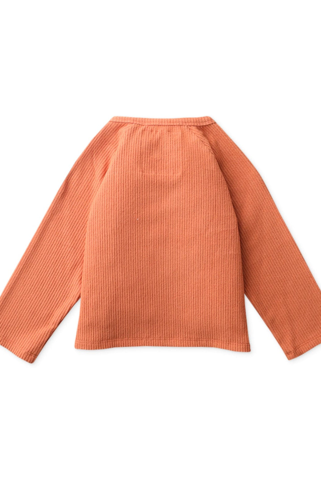 جينجرسنابس تيشرت ولادي اطفالي سادة بازرار عالجنب بني