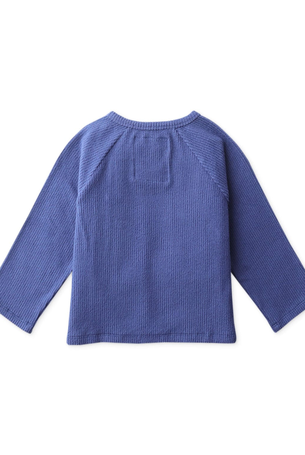 جينجرسنابس تيشرت ولادي اطفالي سادة بازرار عالجنب أزرق