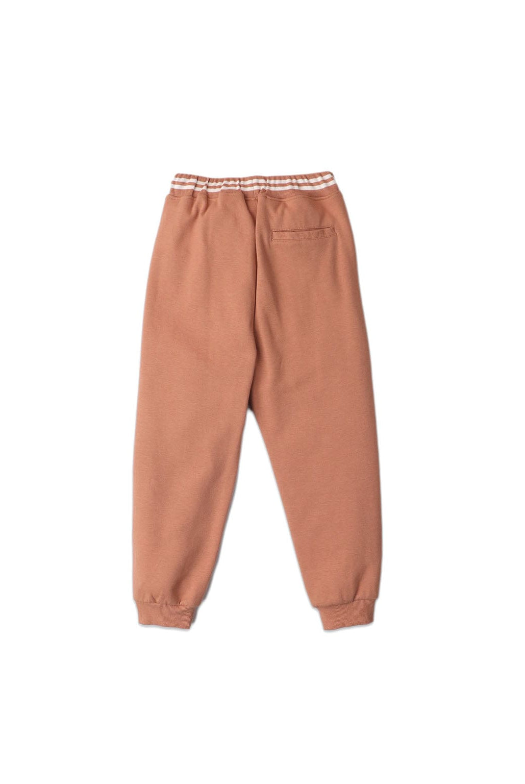 جينجرسنابس بنطلون رياضي ولادي سادة بأساور بني