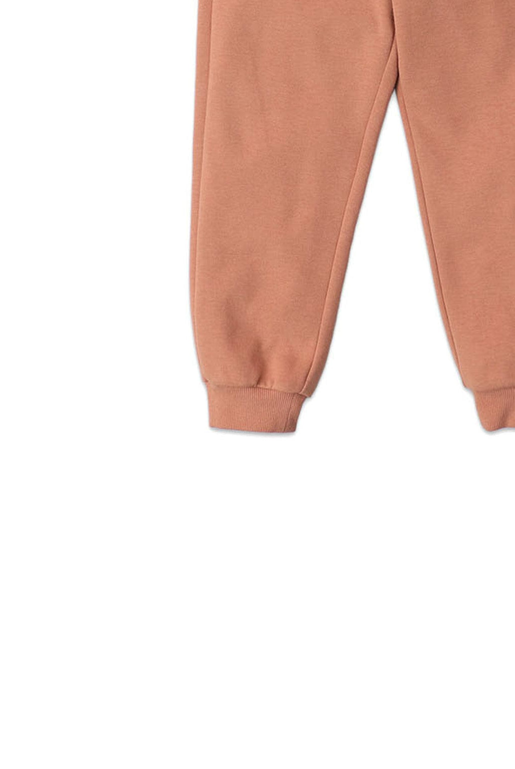 جينجرسنابس بنطلون رياضي ولادي سادة بأساور بني