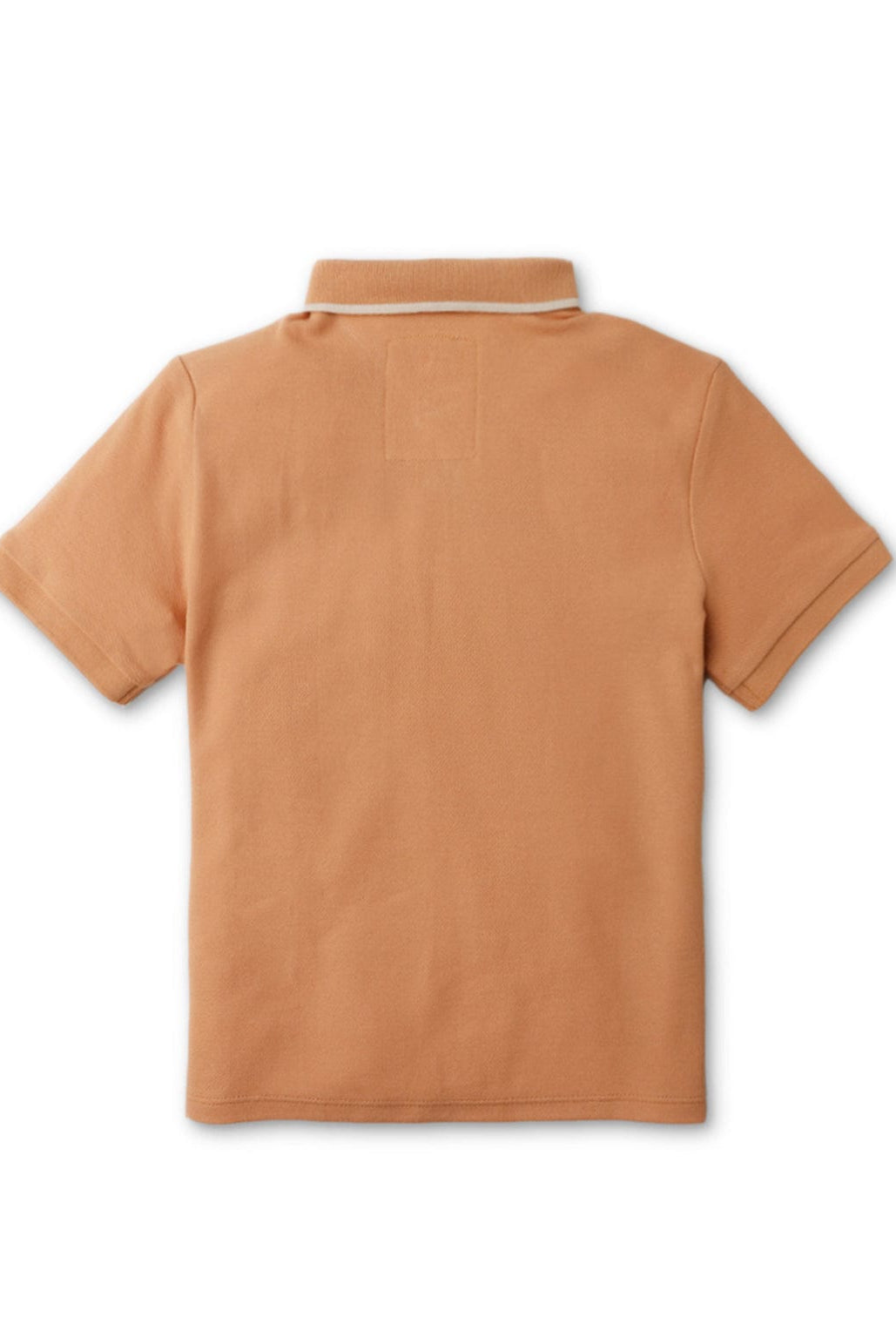 جينجرسنابس تيشيرت بولو أولادي بني سادة بأزرار أمامية وياقة بني