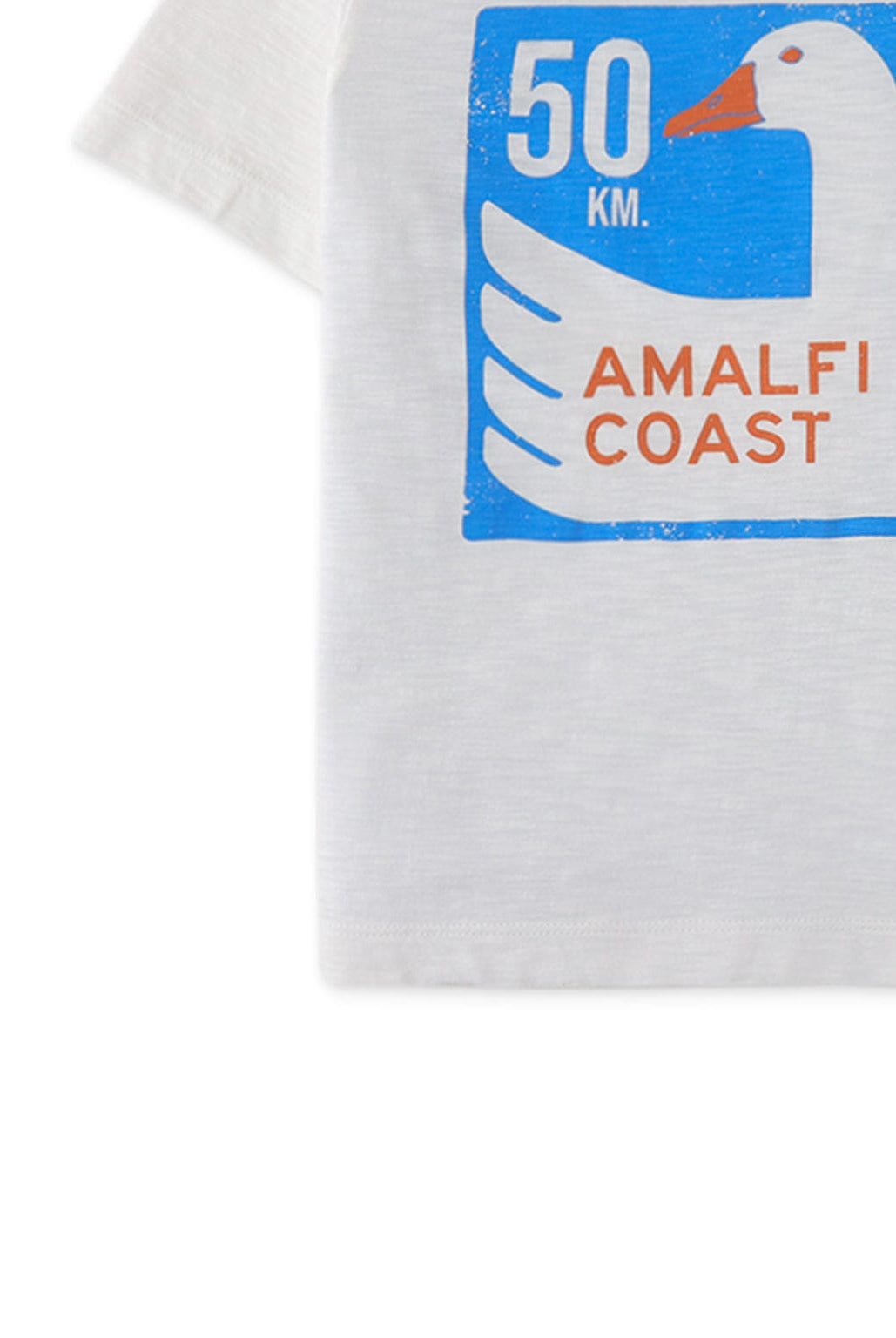 جينجرسنابس تيشيرت ولادي نص كم برسمة أمامية