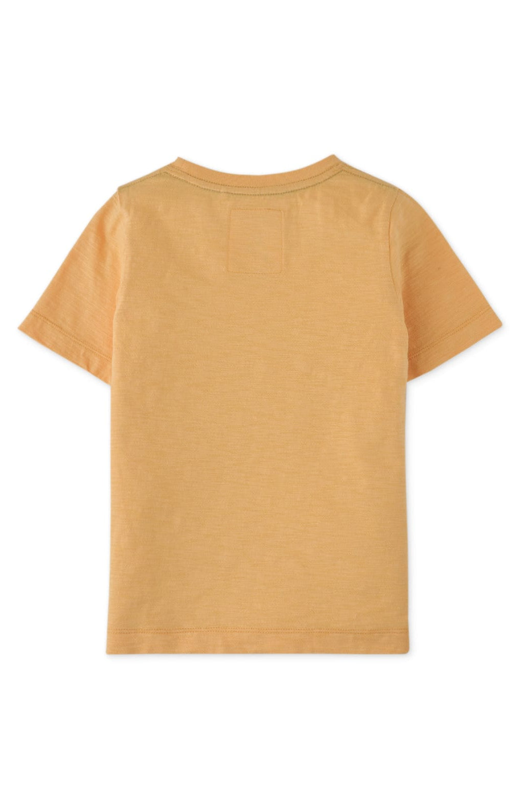 جينجرسنابس تيشيرت ولادي نص كم بنقشة من الأمام