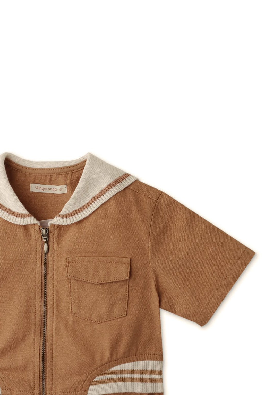 جينجرسنابس جمبسوت بناتي بسوسته بني