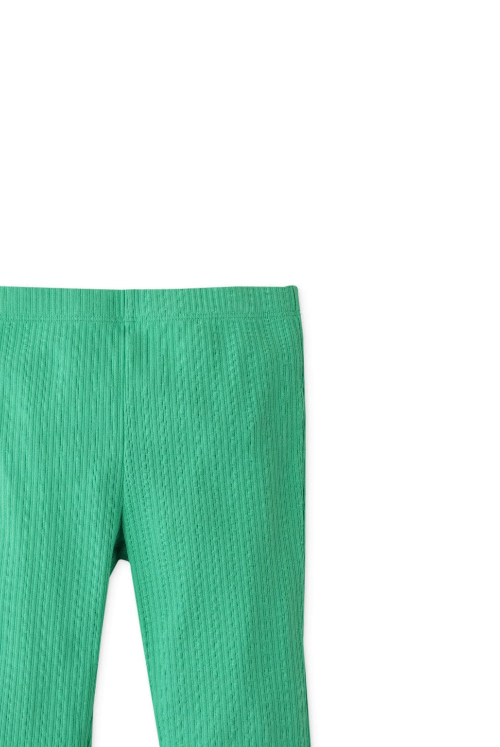 جينجرسنابس ليقنز بناتي سادة مضلع أخضر