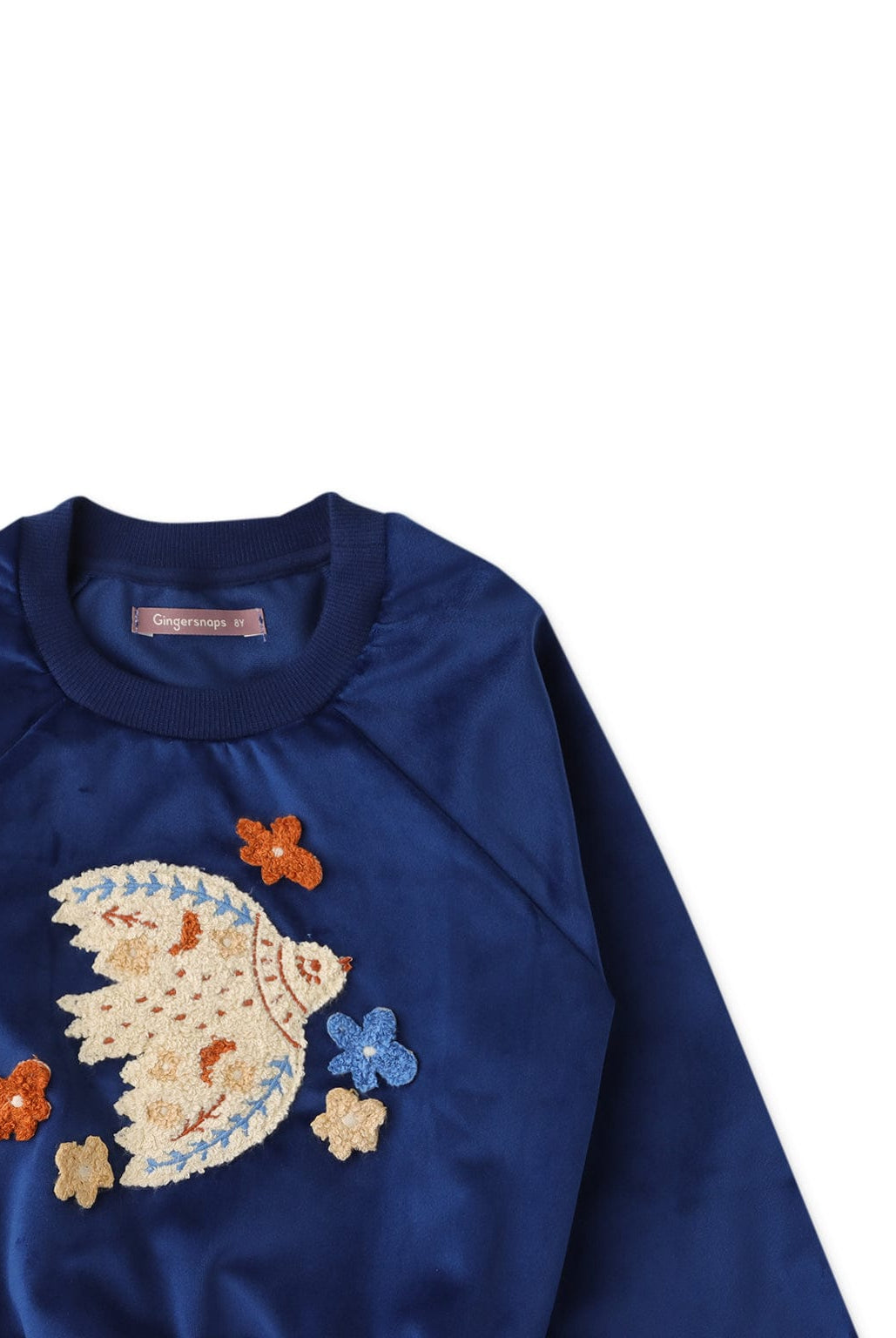 جينجرسنابس بلوفر بناتي مطرز بشكل عصفور أزرق