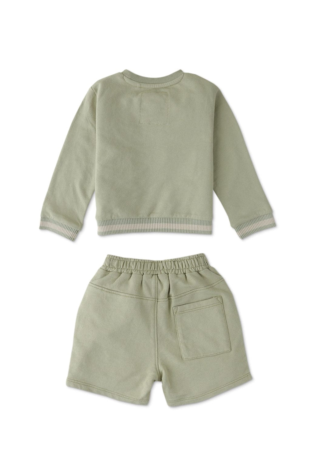 جينجرسنابس طقم بيبي أولاد سادة شورت وتي شيرت بأكمام طويلة أخضر