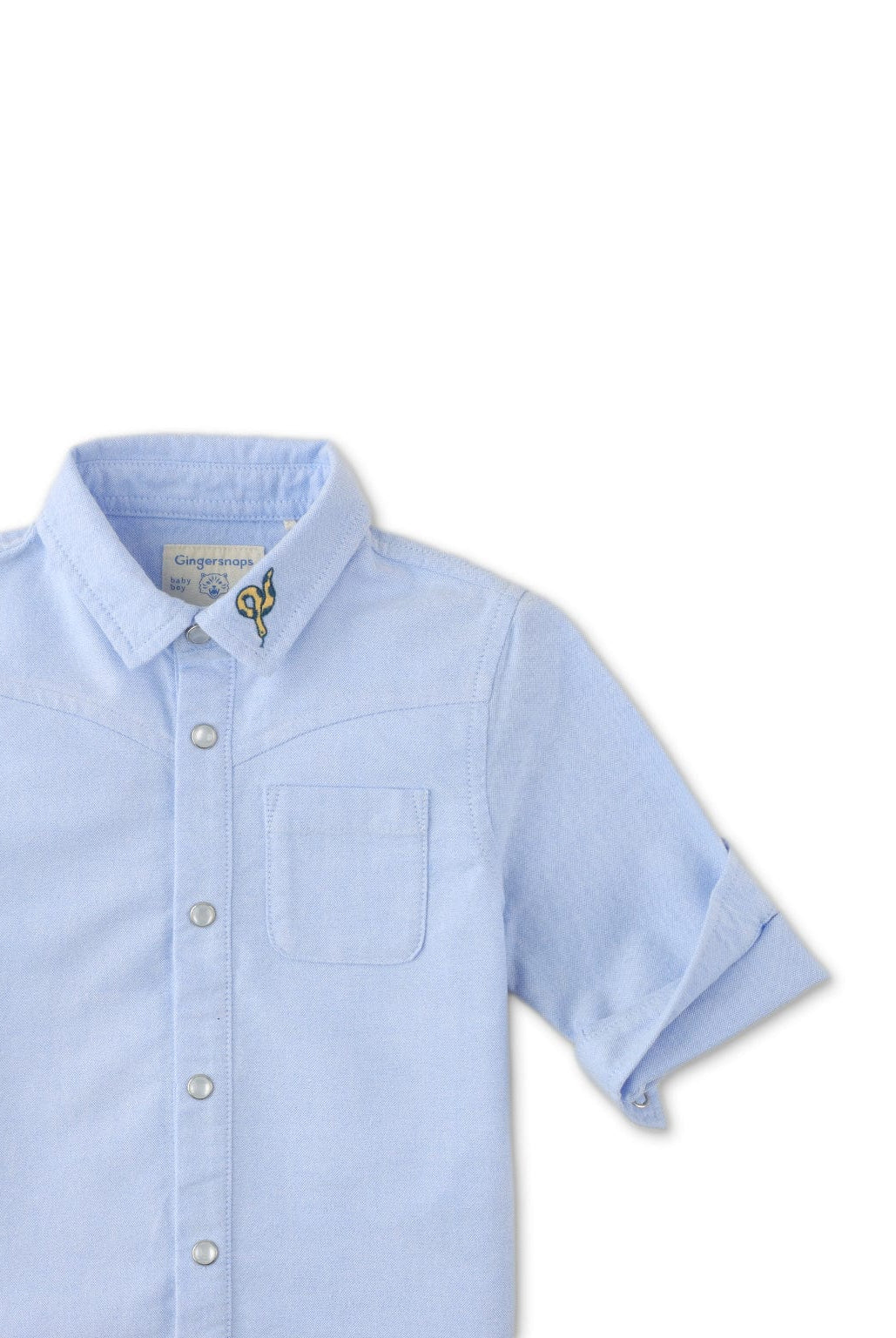 جينجرسنابس قميص ولادي اطفالي سادة بجيب عالجنب أزرق