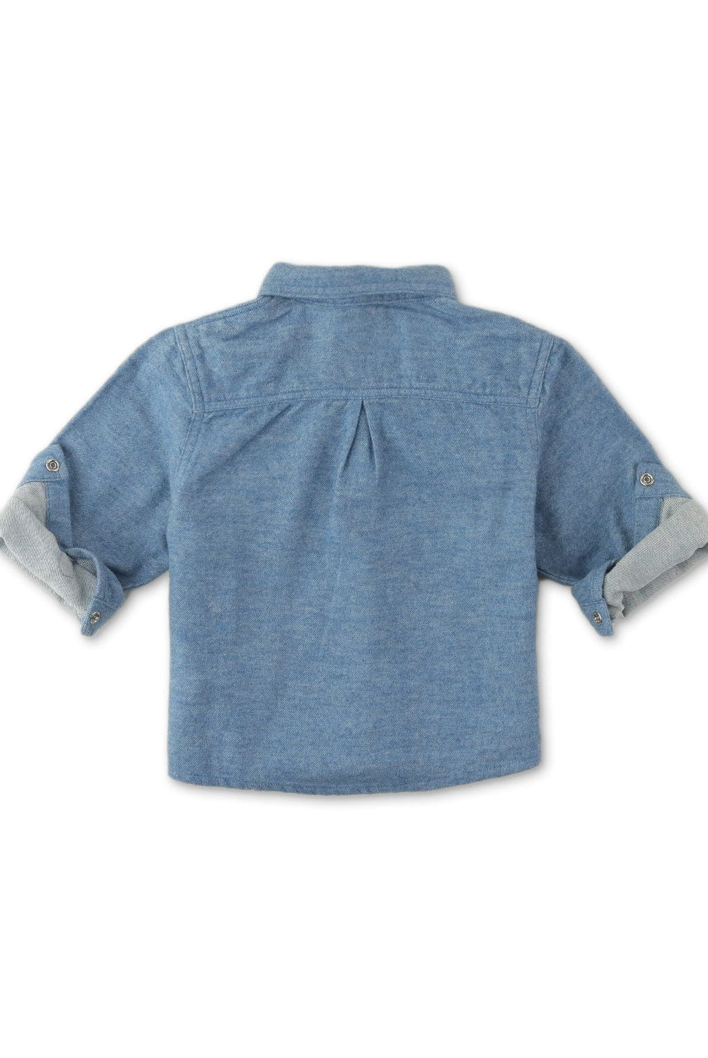 جينجرسنابس قميص ولادي اطفالي سادة كم قصير أزرق