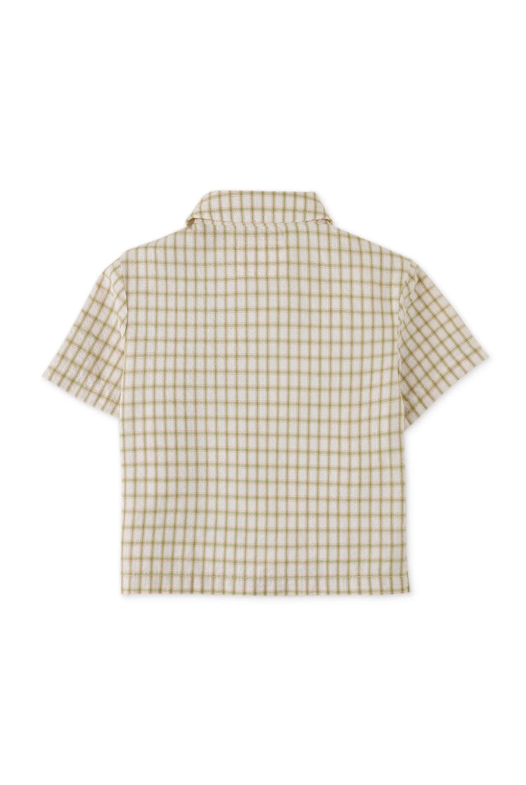 جينجرسنابس قميص بولو بيبي ولاد مربعات نص كم