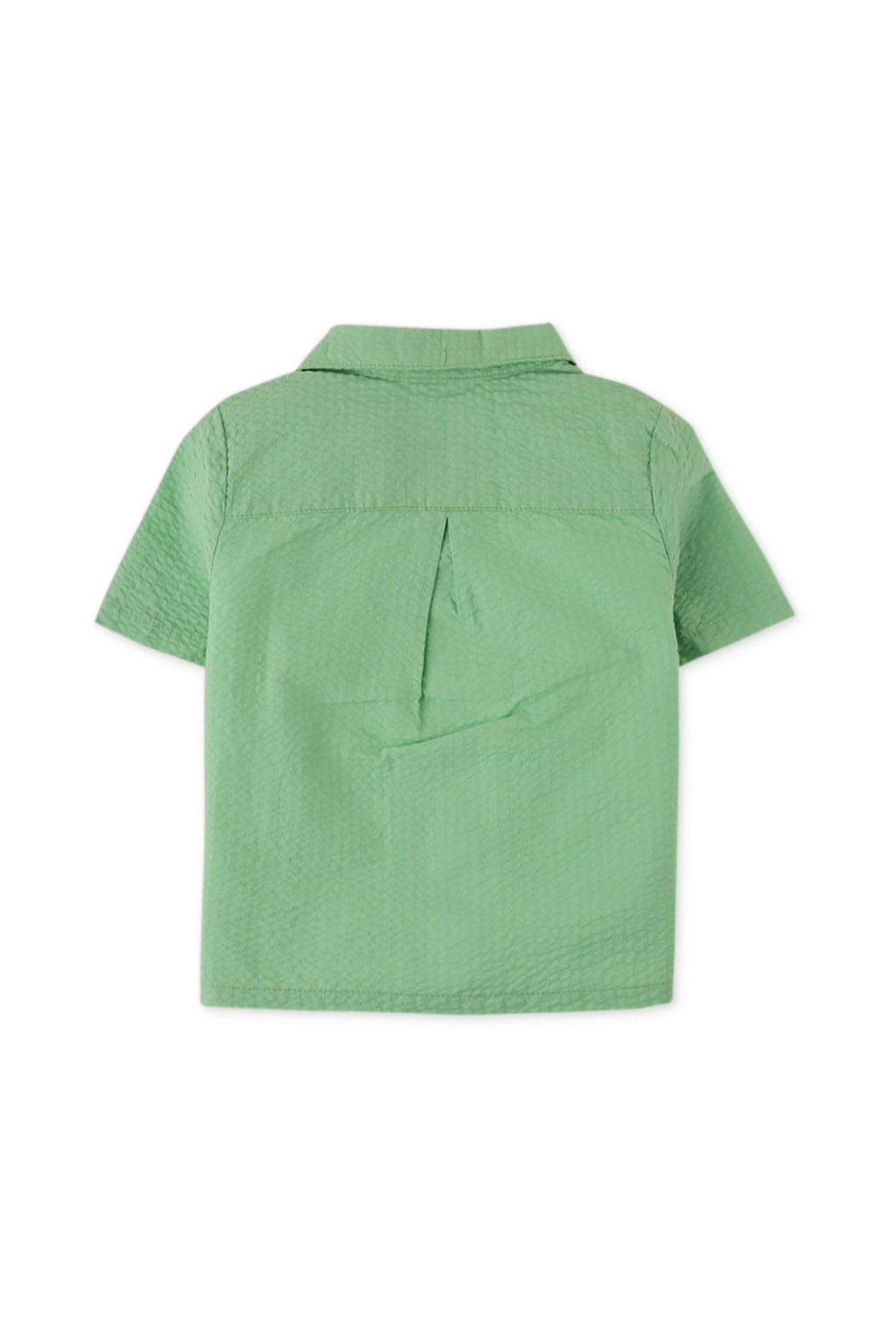 جينجرسنابس قميص بولو بيبي ولاد بتطريز جانبي مميز بأزرار أمامية