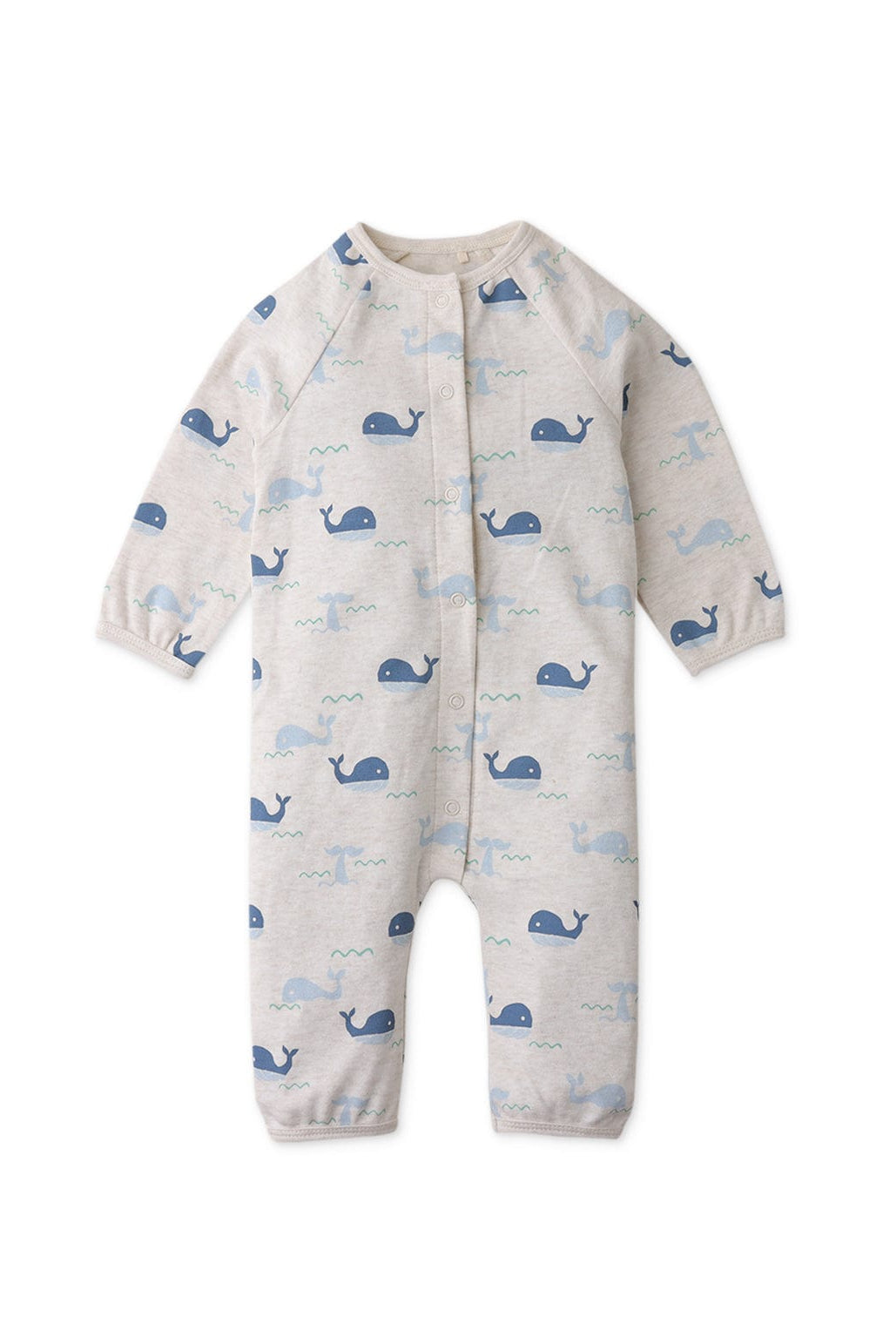 جينجرسنابس جمبسوت اولادي رضع رسمة حوت رمادي