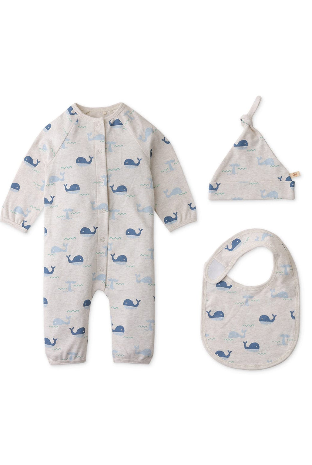 جينجرسنابس جمبسوت اولادي رضع رسمة حوت رمادي