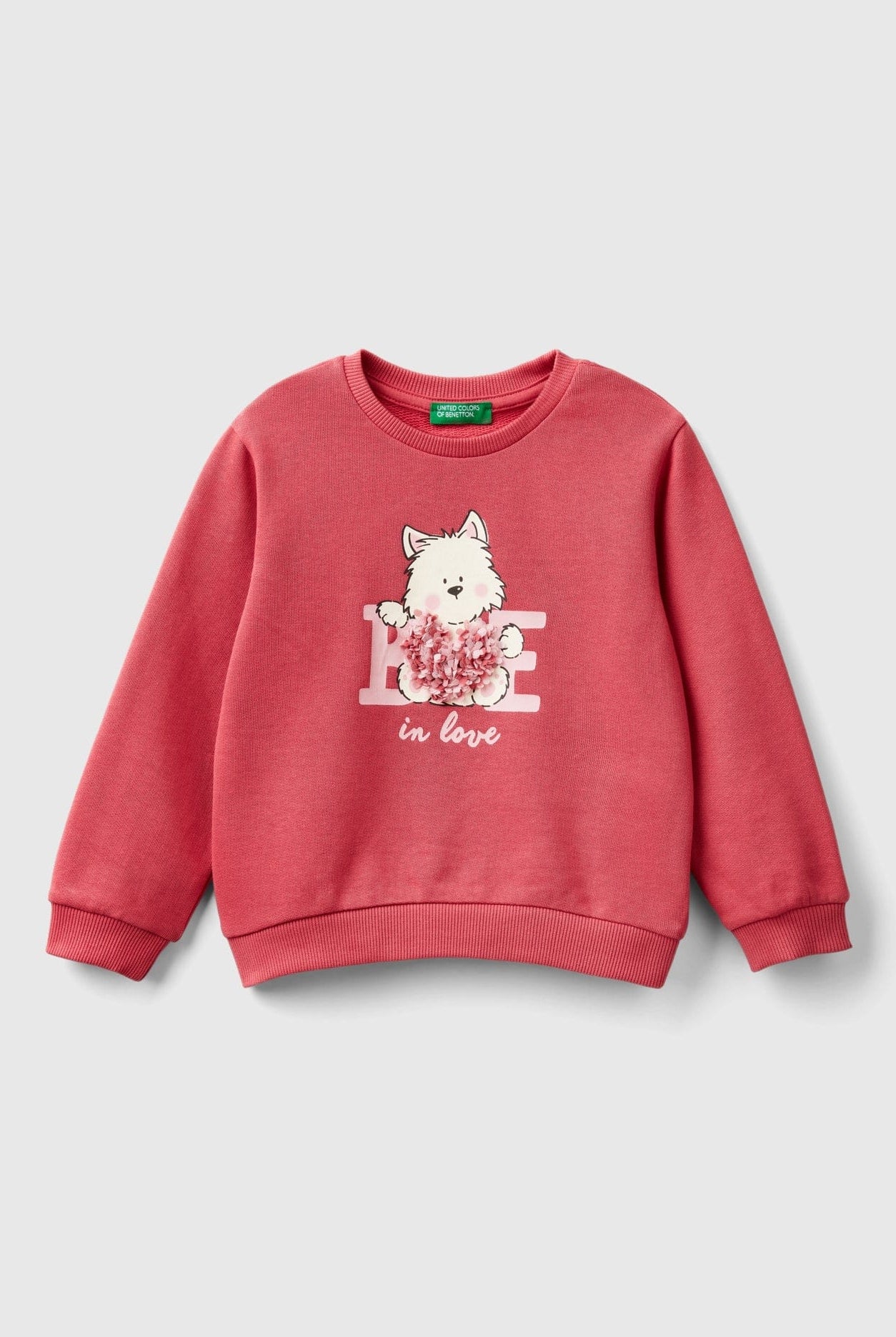 يونايتد كولورز اوف بينيتون سويت شيرت بناتي بأكمام طويلة بياقة دائرية مع تطريز مزين على الصدر