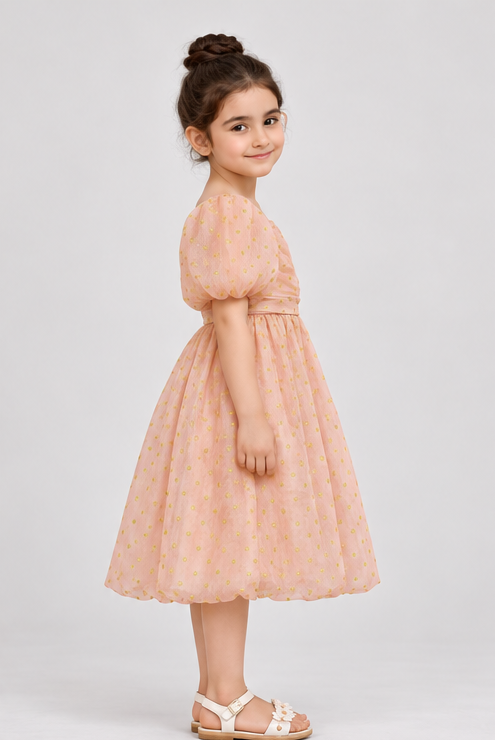 Gingersnaps gdr2213 right model image