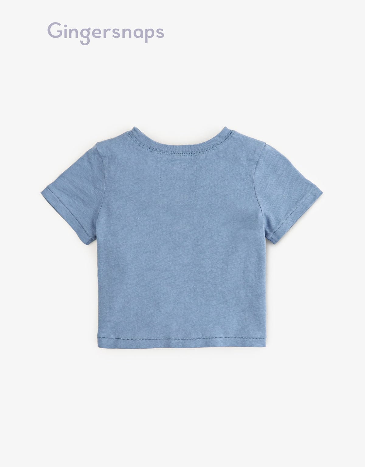 جينجرسنابس تيشيرت أولادي مطرز من الصدر نص كم ازرق/زهري