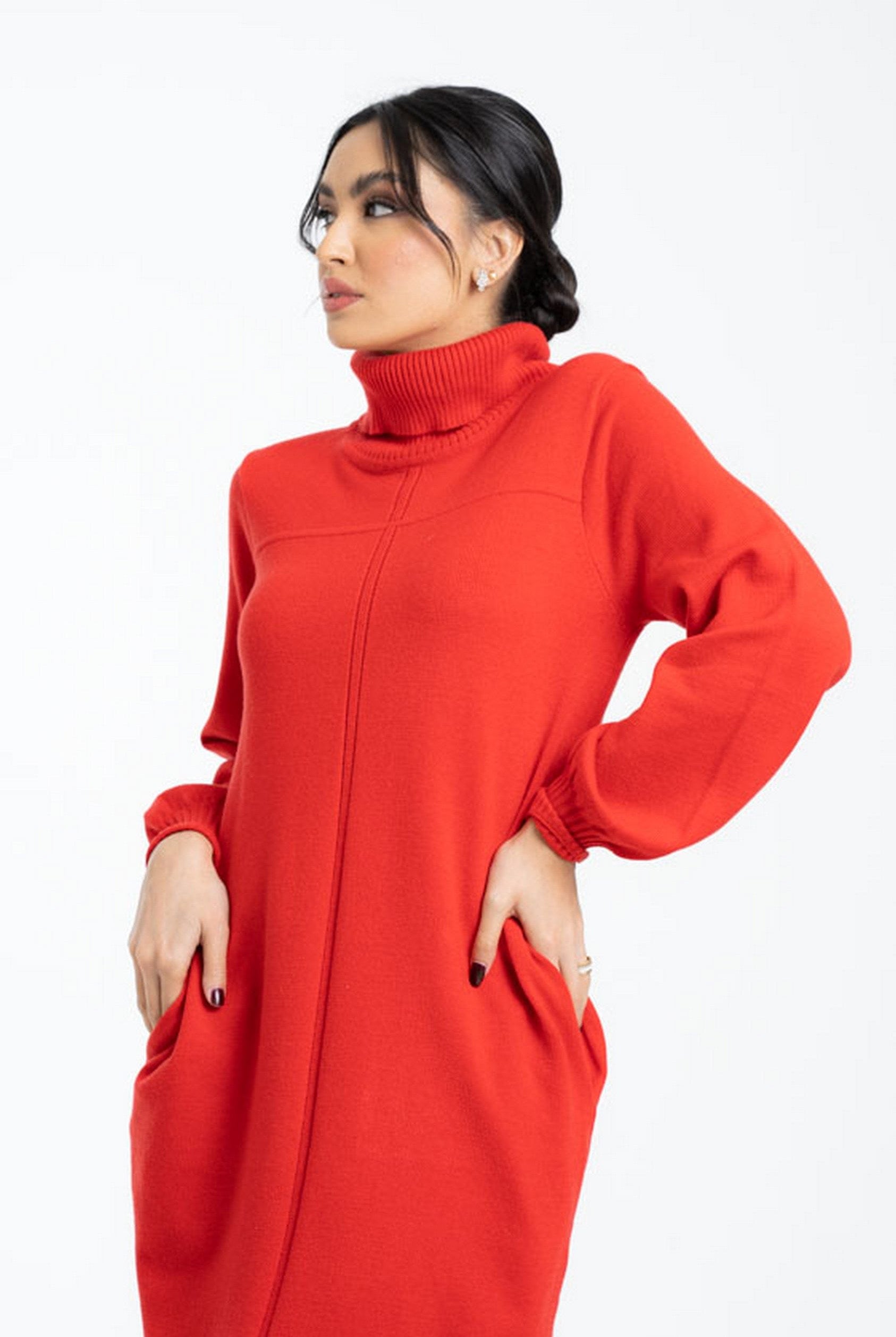 داليدرس بلوزة سادة طويلة بكم طويل ورقبة عالية نسائي