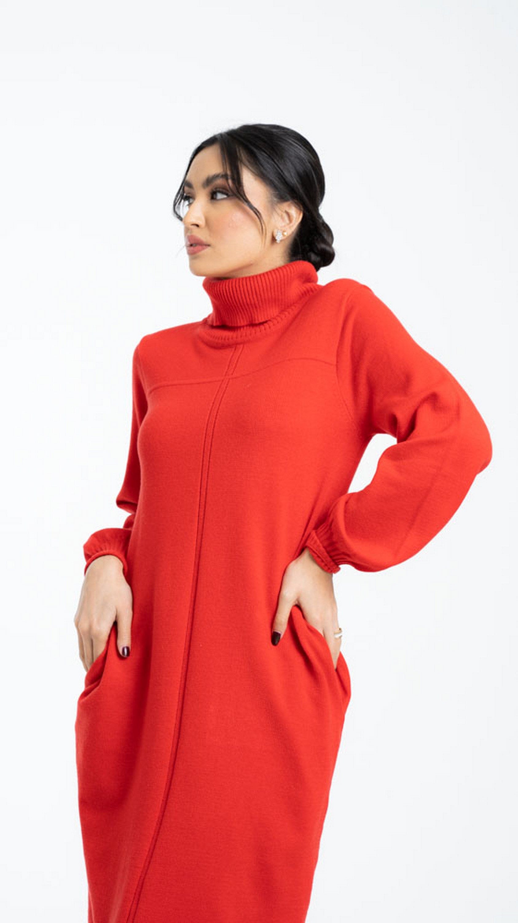 داليدرس بلوزة سادة طويلة بكم طويل ورقبة عالية نسائي