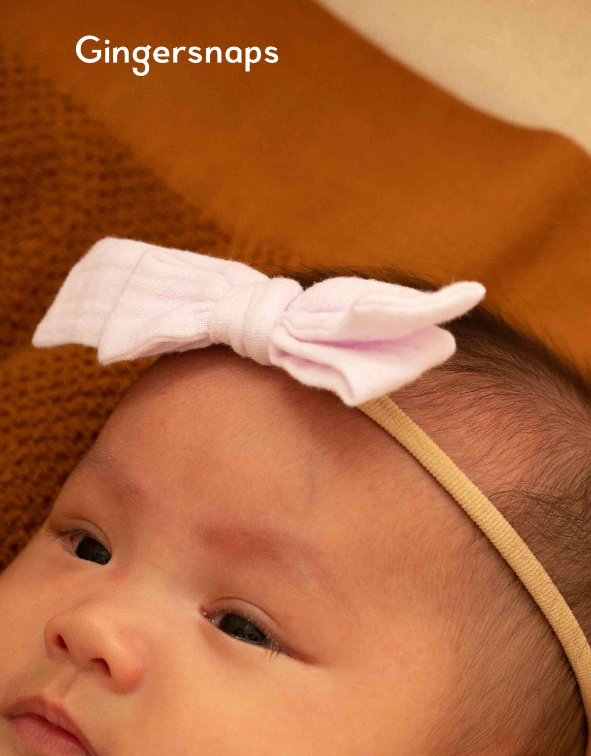 جينجرسنابس بندانة رفيعة فيونكة بناتي متعدد الألوان