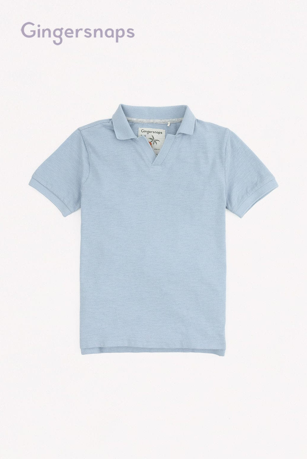 جينجرسنابس تيشيرت بولو سادة برقبة V ولادي أزرق فاتح