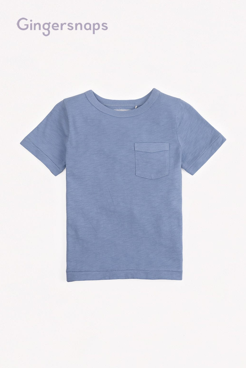 جينجرسنابس تيشيرت ولادي سادة بجيب على الصدر أزرق