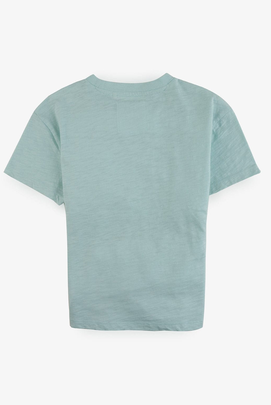 جينجرسنابس تيشيرت أولادي بياقة دائرية بطبعة قرد على الصدر أخضر