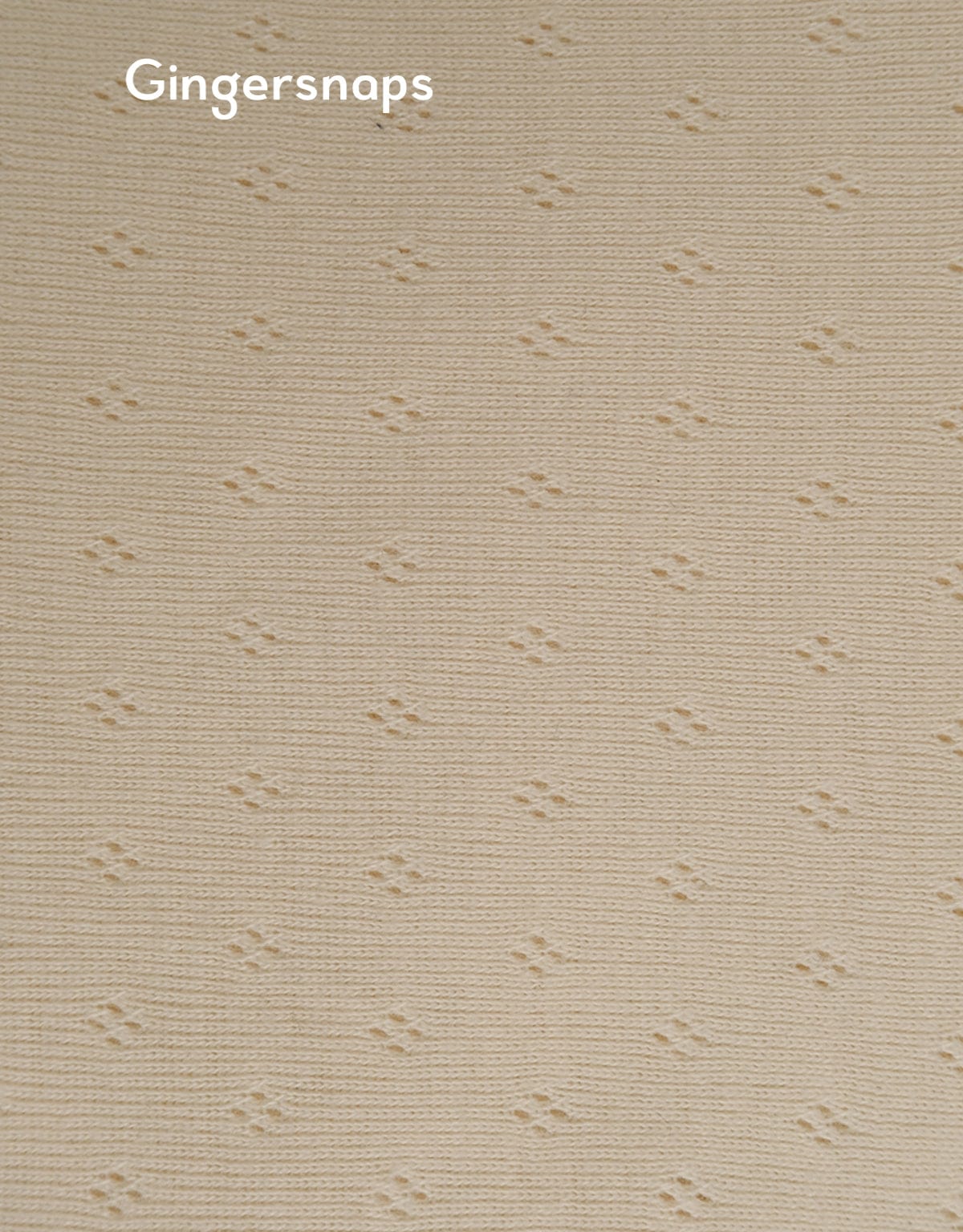 جينجرسنابس سالوبيت مواليد كم طويل سادة متعدد الألوان