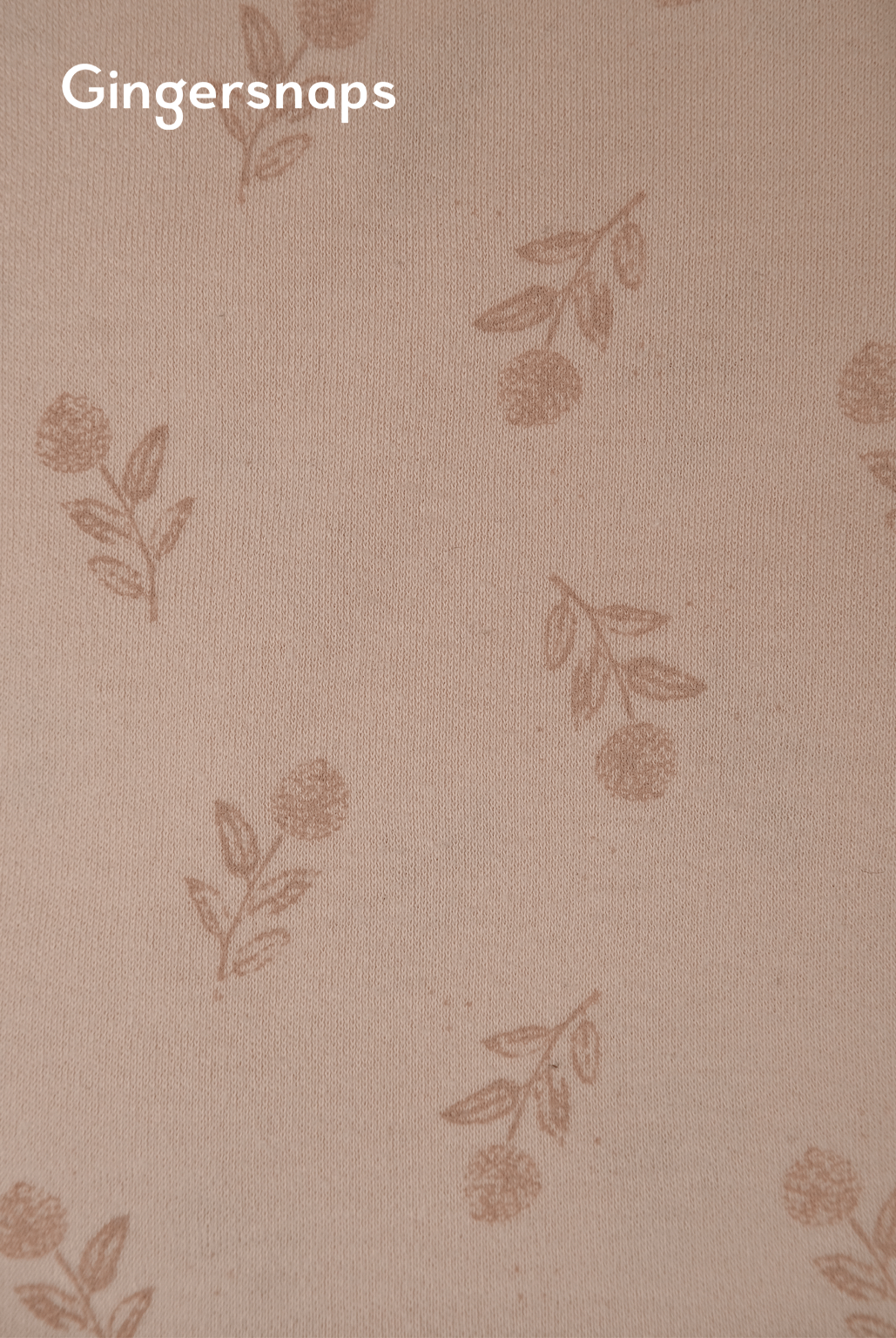 جينجرسنابس سالوبيت مواليد نص كم منقوش متعدد الألوان