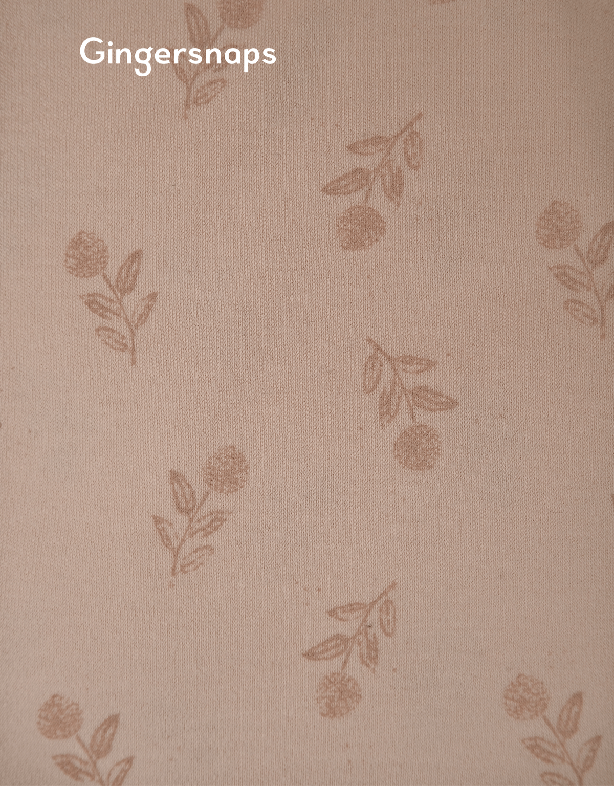 جينجرسنابس سالوبيت مواليد نص كم منقوش متعدد الألوان