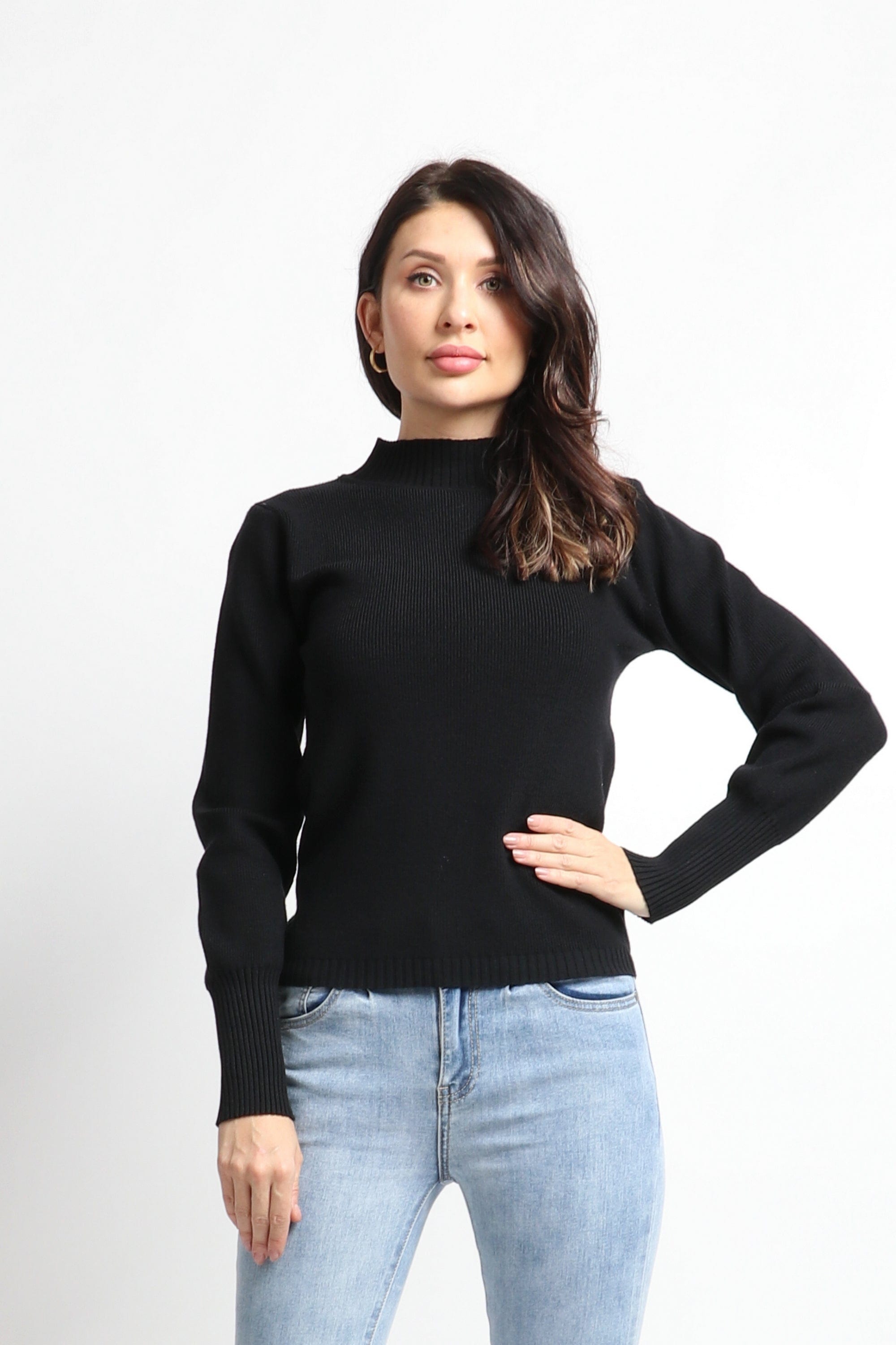 نتشي بلوفر سادة برقبة عالية وكم طويل نسائي