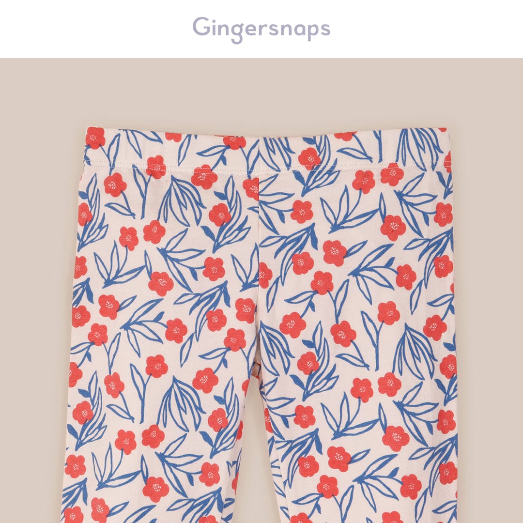 جينجرسنابس ليقنز بناتي مورد متعدد الألوان