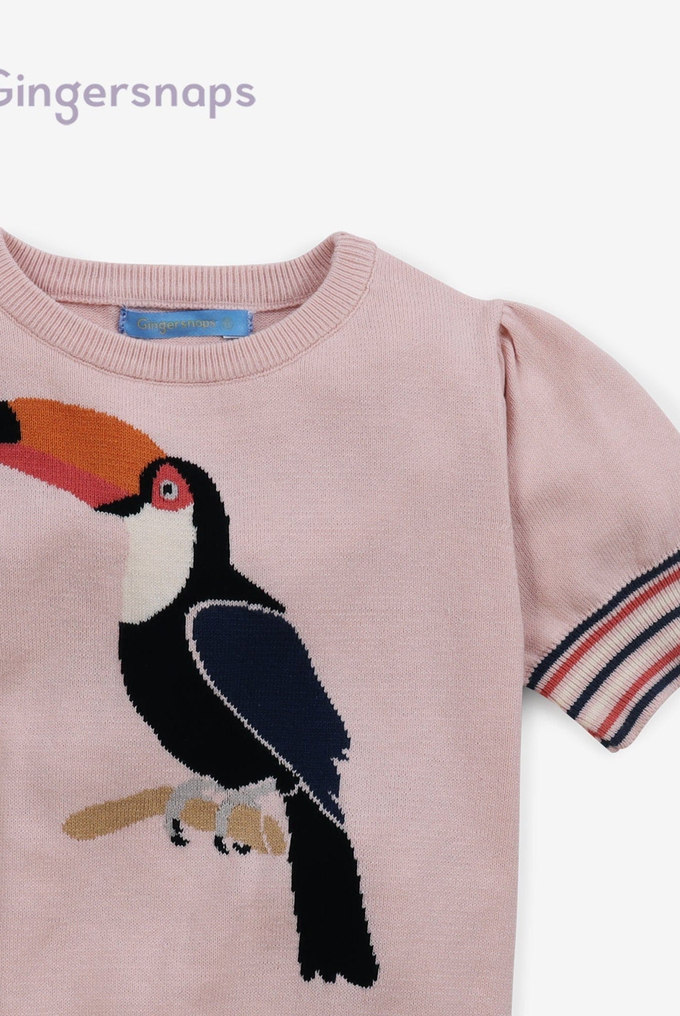 جينجرسنابس بلوزه بناتي طويله بخصر مطاطي مخطط بنفسجي و بني