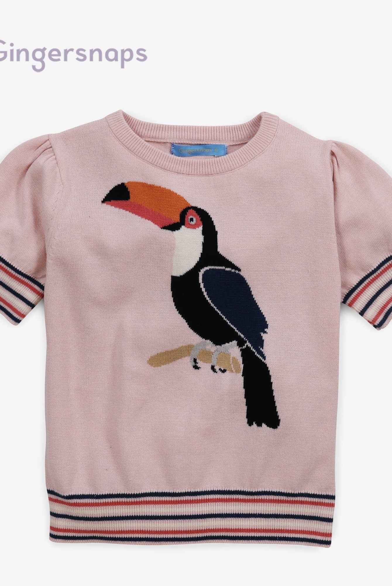 جينجرسنابس بلوزه بناتي طويله بخصر مطاطي مخطط بنفسجي و بني