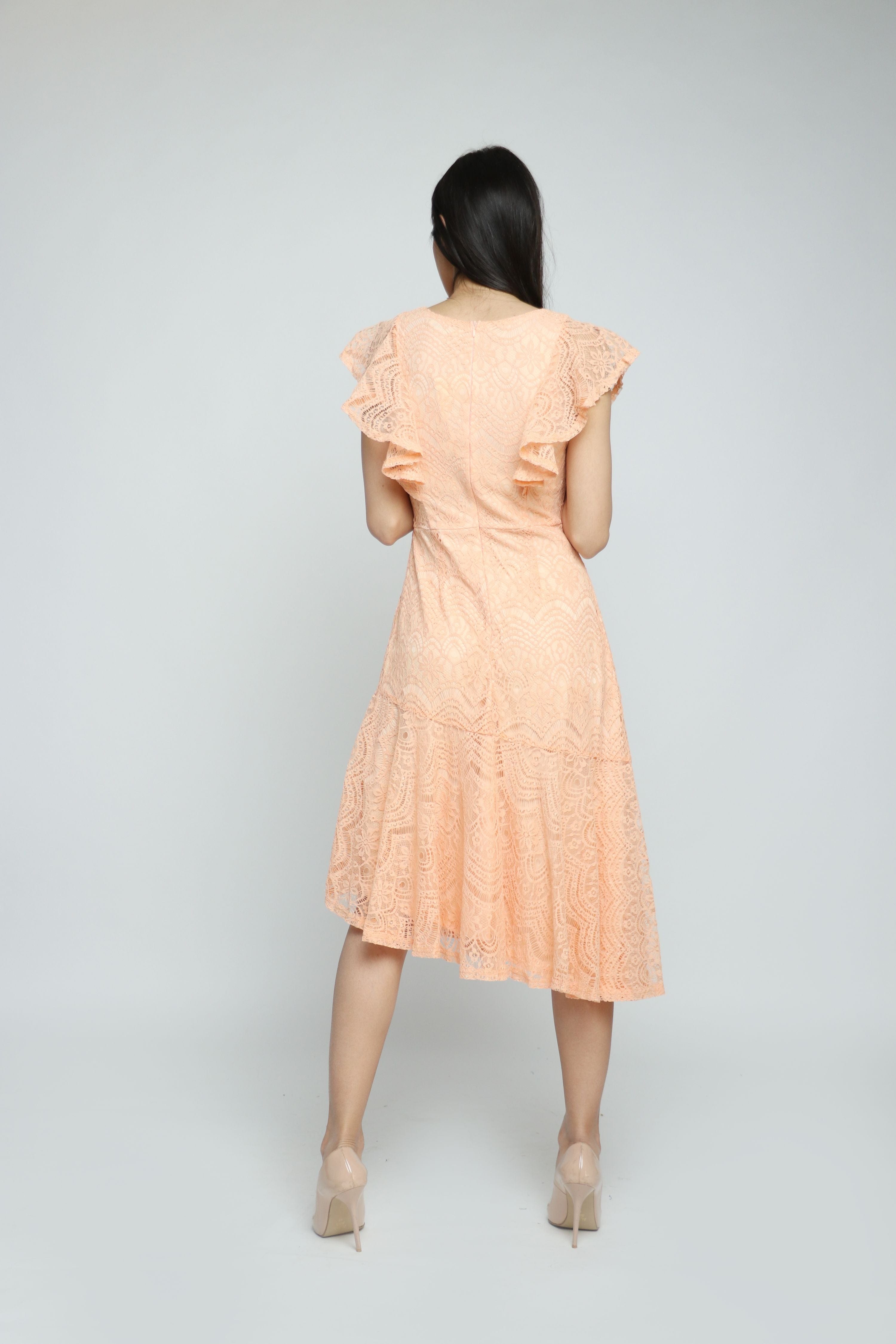 ู
ููุง ูุณุชุงู ู
ูุฏู ู
ุฎุตุฑ ุฃูู
ุงู
ู
ูุดูุดุฉ