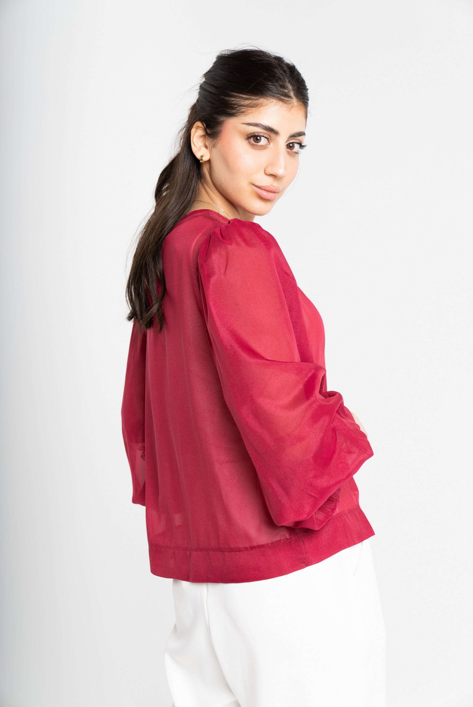 ميكا بلوزة بأكمام طويلة شفافة بياقة دائرية