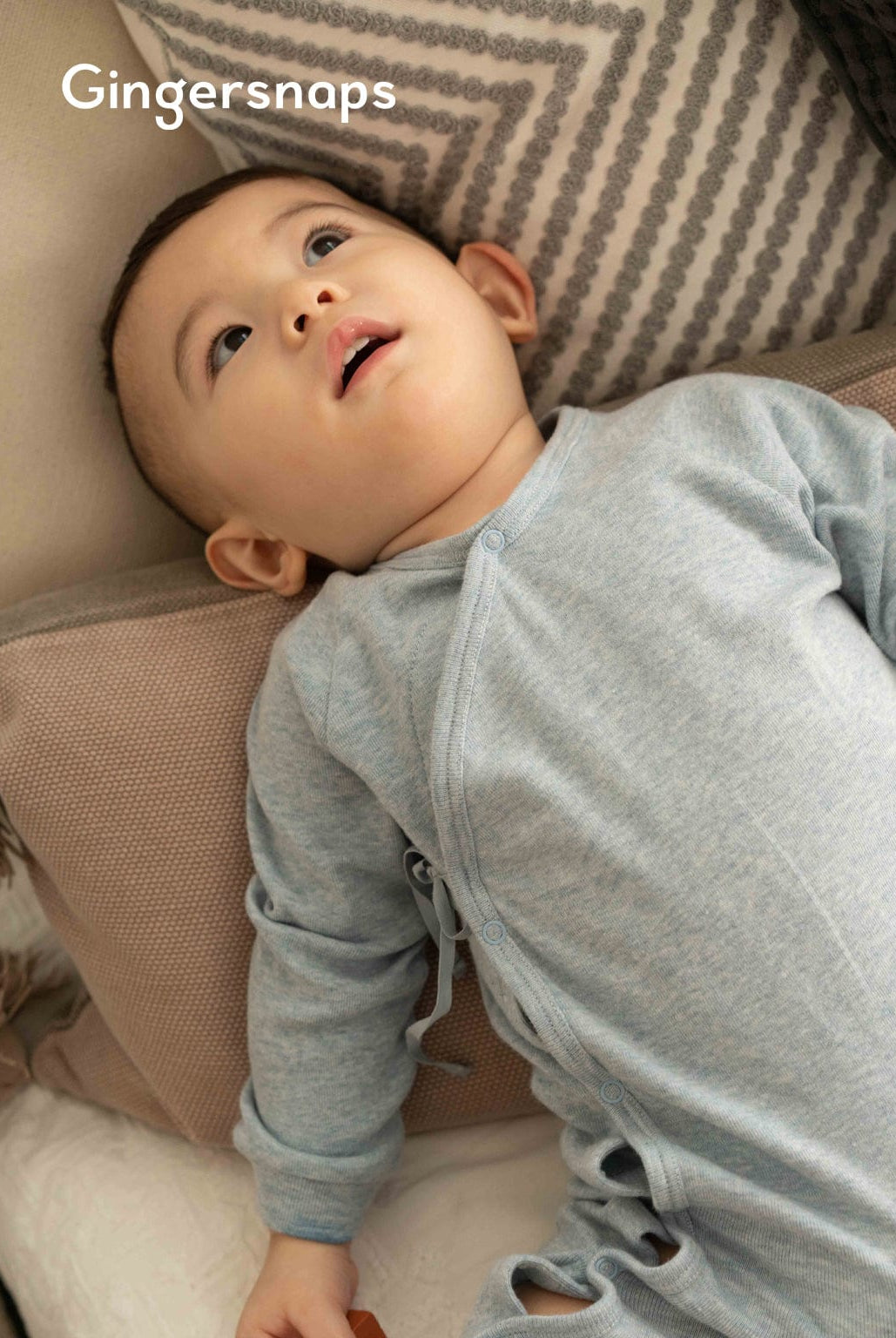 جينجرسنابس جمبسوت سادة أولادي رضع أزرق